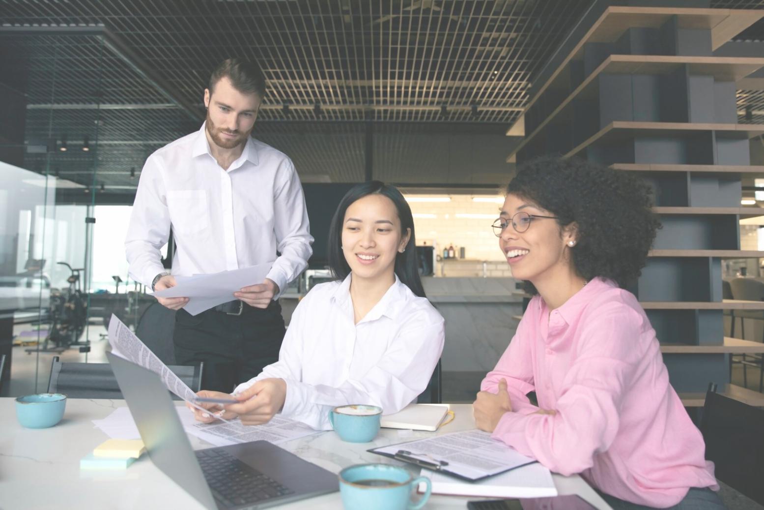 Advanced budget analysis software in use